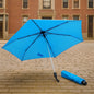 A vibrant 3-fold umbrella, compactly folded and secured with a strap, ready for travel.