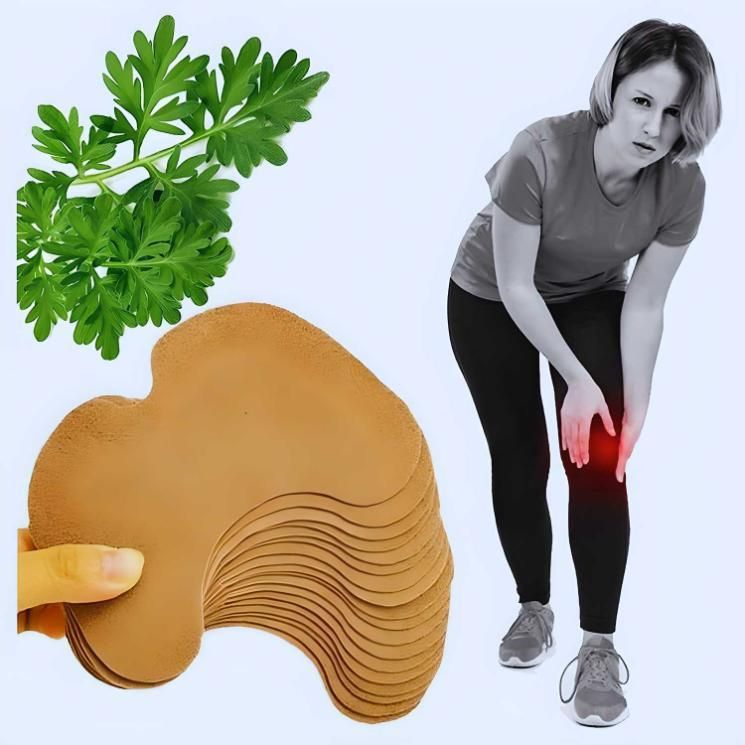Herbal Knee Plaster Sticker Wormwood Extract Joint Ache Pain Relieving Pack Of (10)