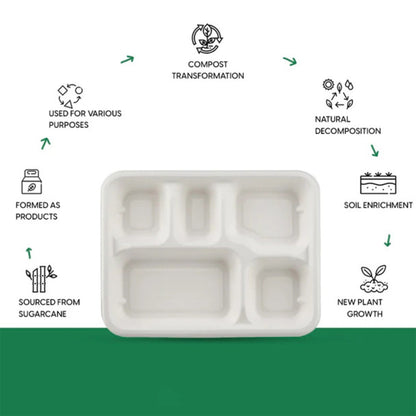 Stacked compostable 5-compartment lunch plates designed for easy storage